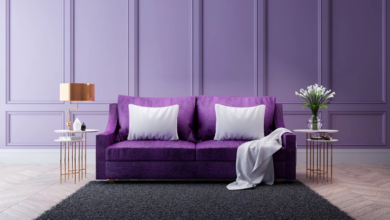 How to Style a Living Room with a Purple Sofa