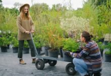 content marketing for growth