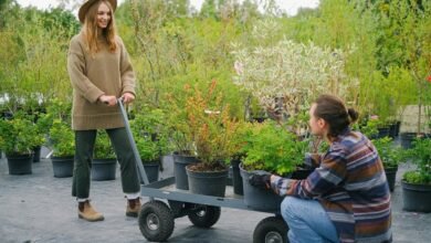 content marketing for growth