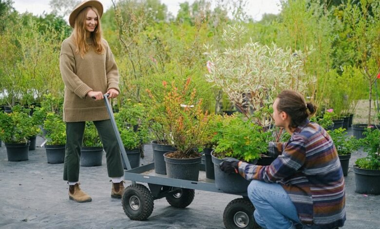 content marketing for growth