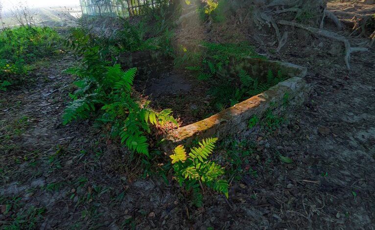 grow instagram followers quickly