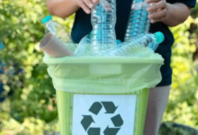 The Environmental Cost of Disposal