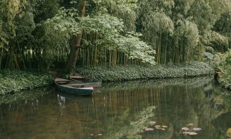 digital monetization network service