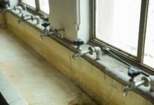 identity online presence strategy