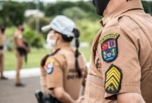 search authority rankings planner