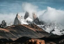 successful roi conversion strategy