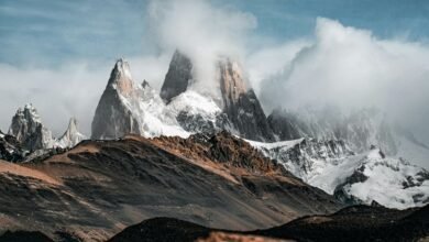 successful roi conversion strategy