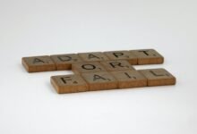 adaptive strategies and concepts