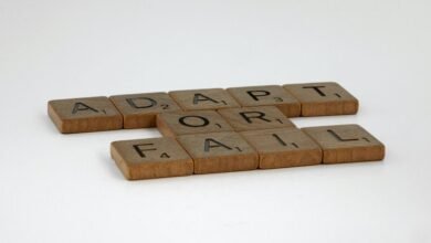 adaptive strategies and concepts