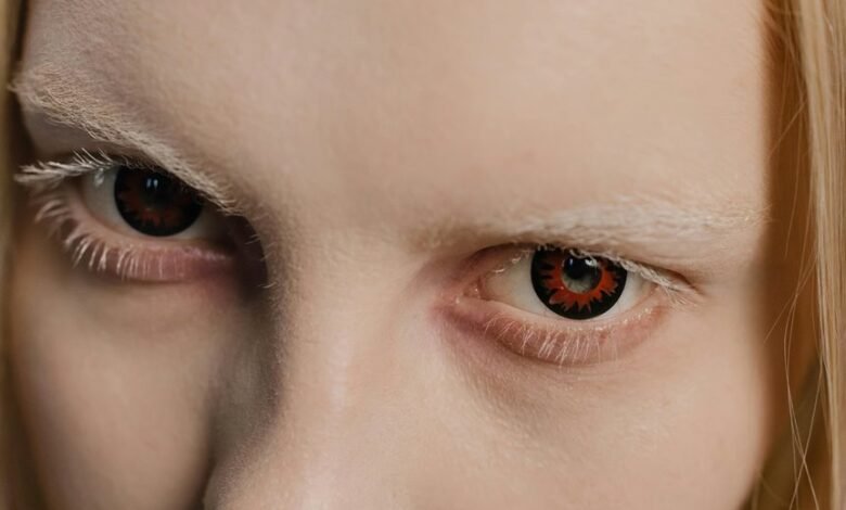 contact information overview provided