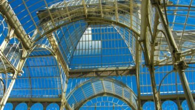 digital growth framework strategy