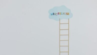 nova path growth ladder