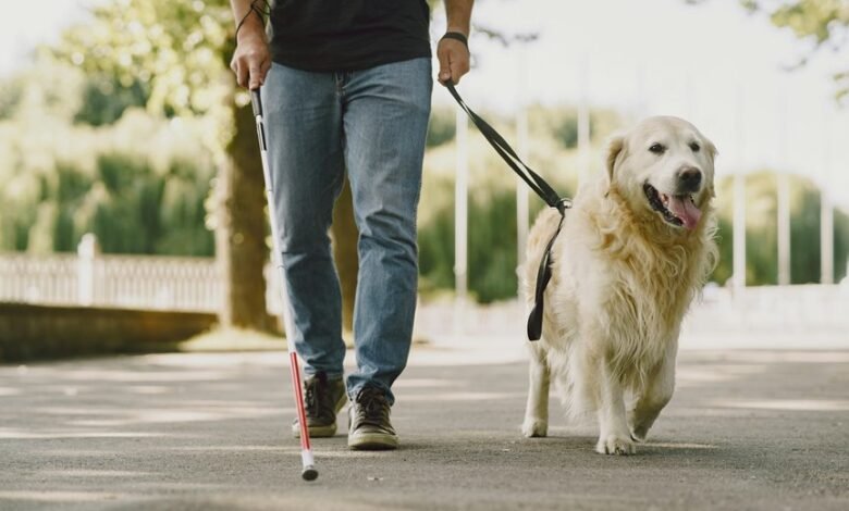 trusted tech support hotline