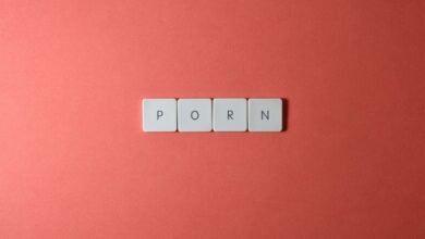 how to start hentai20mio successfully