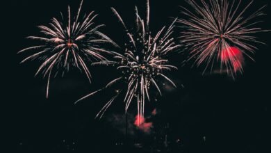 online event of the year scookievent