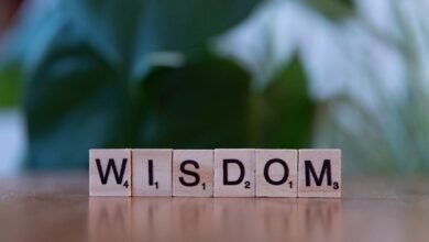 top reasons to learn about vtlcdbc